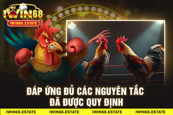 Đáp ứng đủ các nguyên tắc đã được quy định